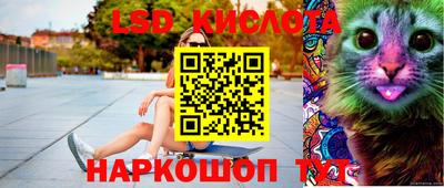 шишки Конаково
