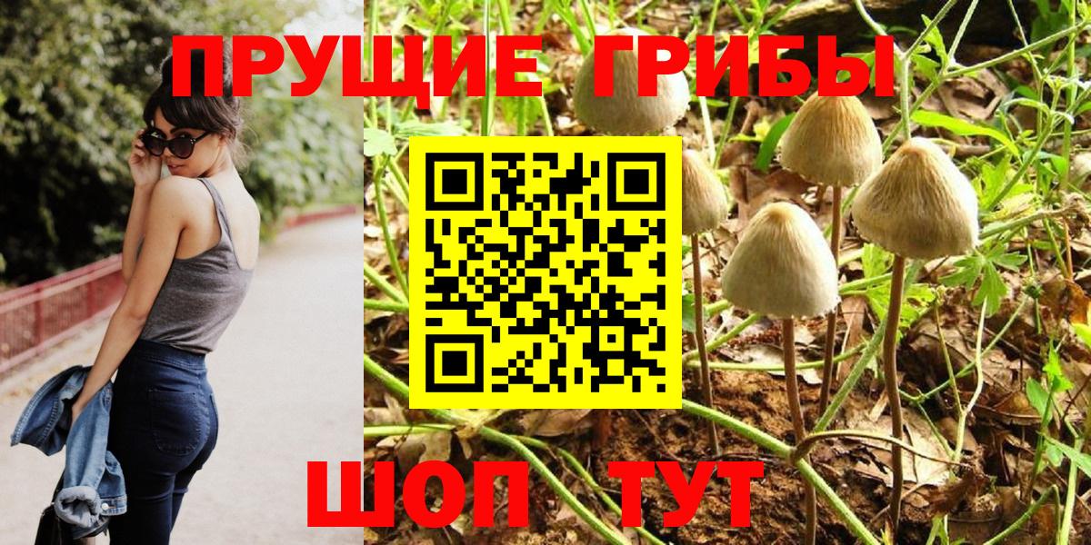 Соль-Илецк  Галлюциногенные грибы мицелий  Вход с VPN 